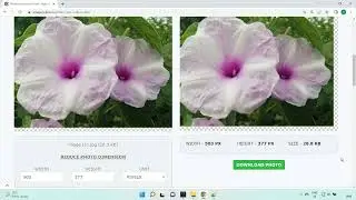 Photo size reducer - imageonline.co