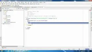 [ProgramadorNovato.com]Trabajando con el Marco de validacion Struts2