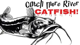 River BANK Fishing For Catfish - Best HOW TO Catfishing Guide!