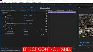 Effect Control Panel in Adobe Premiere Pro|Learn About Effect Control Panel in Adobe Premiere Pro