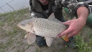 Carp on inverted baits. Fishing on the Syda River. Smoked carp for dinner.