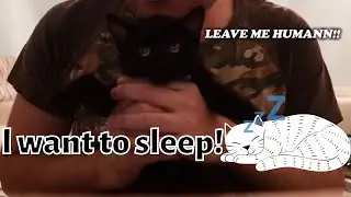 Talking with my sleepy kitten l was not expecting this to happen 🙀