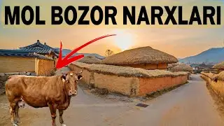 O’zbekistonda Mol Bozor Narxlari