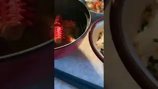 普段飯