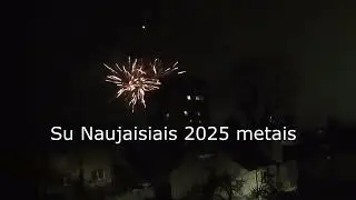 Su Naujaisiais 2025 metais