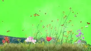 mountain garden green screen effect