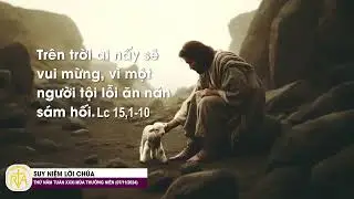 Suy Niệm Lời Chúa, Thứ Năm Tuần XXXI Thường Niên (07/11/2024)