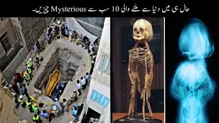 Most Mysterious Discoveries Ever in the world | Mr. Cheetah🐯