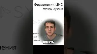 Физиология нервной системы #физиологиячеловека