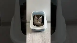 Как мы жили без него ?? 