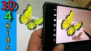 Wow! How to draw a 3D Butterfly drawing step by step