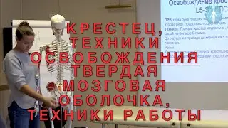 Техники освобождения крестца. Техники работы с твердой мозговой оболочкой. Прикладная кинезиология