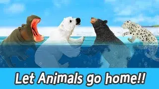 [EN] Let animals go home!!ㅣanimals storyㅣCoCosToy
