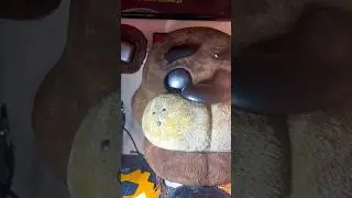 Upgrading Classic Freddy! #fnaf #animatronics