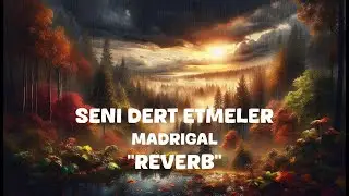 Madrigal - Seni Dert Etmeler (Reverb Lyrics)