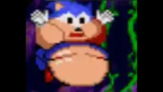 Fat Sonic 2/Full Walkthrough