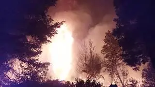 WILDFIRE - Tree Engulfed in Flames and Completely Burnt Up in Seconds