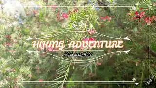 [Hiking] Merri Creek Trail part 1 - Vlog during lockdown