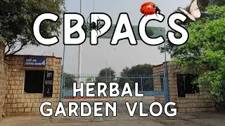 CBPACS, HERBAL GARDEN VLOG | #cbpacs | #akmedico | #medico