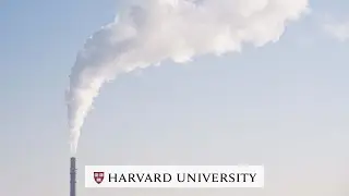 How does air quality affect the brain?