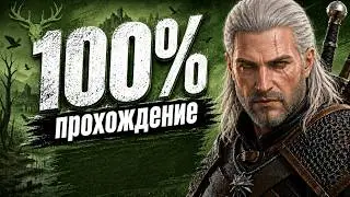THE WITCHER 3 at 100% is that REAL? (VELEN)