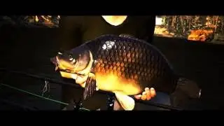 Fishing The Lake TRAILER
