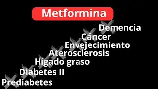 La METFORMINA  más que antidiabético,  también contra el ENVEJECIMIENTO ✅