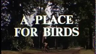A Place for Birds
