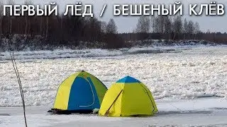 ПЕРВЫЙ ЛЕД / БЕШЕНЫЙ КЛЕВ / СЕЗОН 2019 - 2020