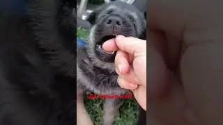 Больно кусаются уже!!!