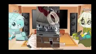 Star sanses react to TT