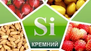 КРЕМНИЙ. В КАКИХ ПРОДУКТАХ СОДЕРЖИТСЯ?
