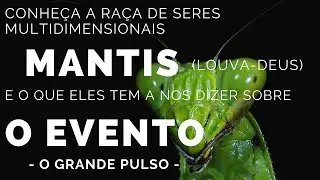 CONHEÇA A RAÇA DE SERES MULTIDIMENSIONAIS MANTIS (LOUVA-DEUS) SAIBA SOBRE O EVENTO - O GRANDE PULSO