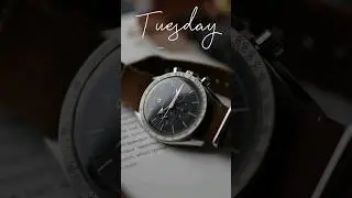 SOTC: 7 Watches that Get Me Through The Week