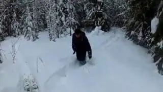 охота на зайца с русской гончей