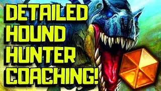 Hound Hunter Coaching in Hearthstone TITANS
