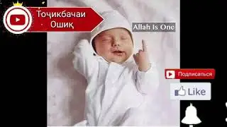 Дили оча дар бача дили бача дар куча / бехтарин суруди эрони дар васфи кудак ❤🔥