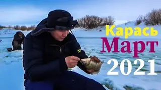 Рыбалка в марте. Весенняя ловля карася. Путешествия.