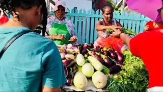 Plaisance Sunday Farmers Market Part Two