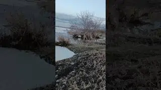 Вода спадает в   Казахстане в р.Есиль 2024 г #2024 #вода #казахстан #дамба