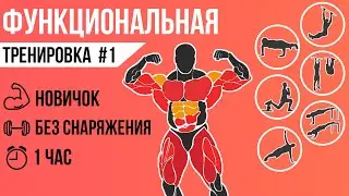 Функциональная тренировка №1 💪 Без снаряжения для новичков