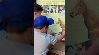 А как у вас прошло лето? ☀️