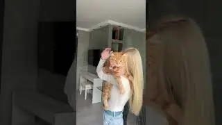 Мы трех котиков с улицы взяли и всё они выросли красивыми и добрыми ❤️❤️❤️ 