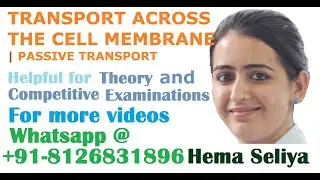 TRANSPORT ACROSS THE CELL MEMBRANE | PASSIVE TRANSPORT