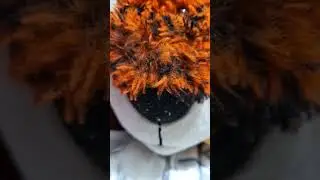 Timmy the tiger 🐅 has a Flashback