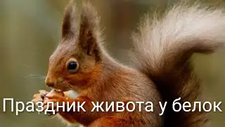 ПРАЗДНИК ЖИВОТА У БЕЛОК
