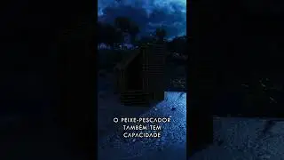 Peixe-Pescador #ark #arkascended