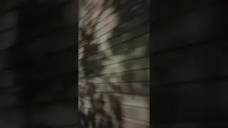 Racconto un po' di cose passate - 2