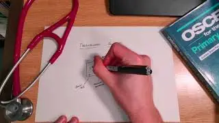 Paramagnetic analysers in 60 seconds