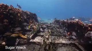 Sugar Wreck